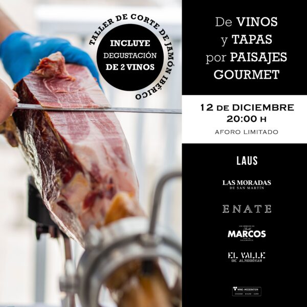Taller de corte 12_12_24